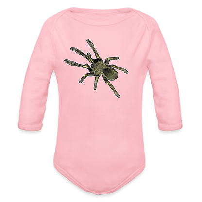 Baby Bio Body lang Ephebopus murinus - Hellrosa