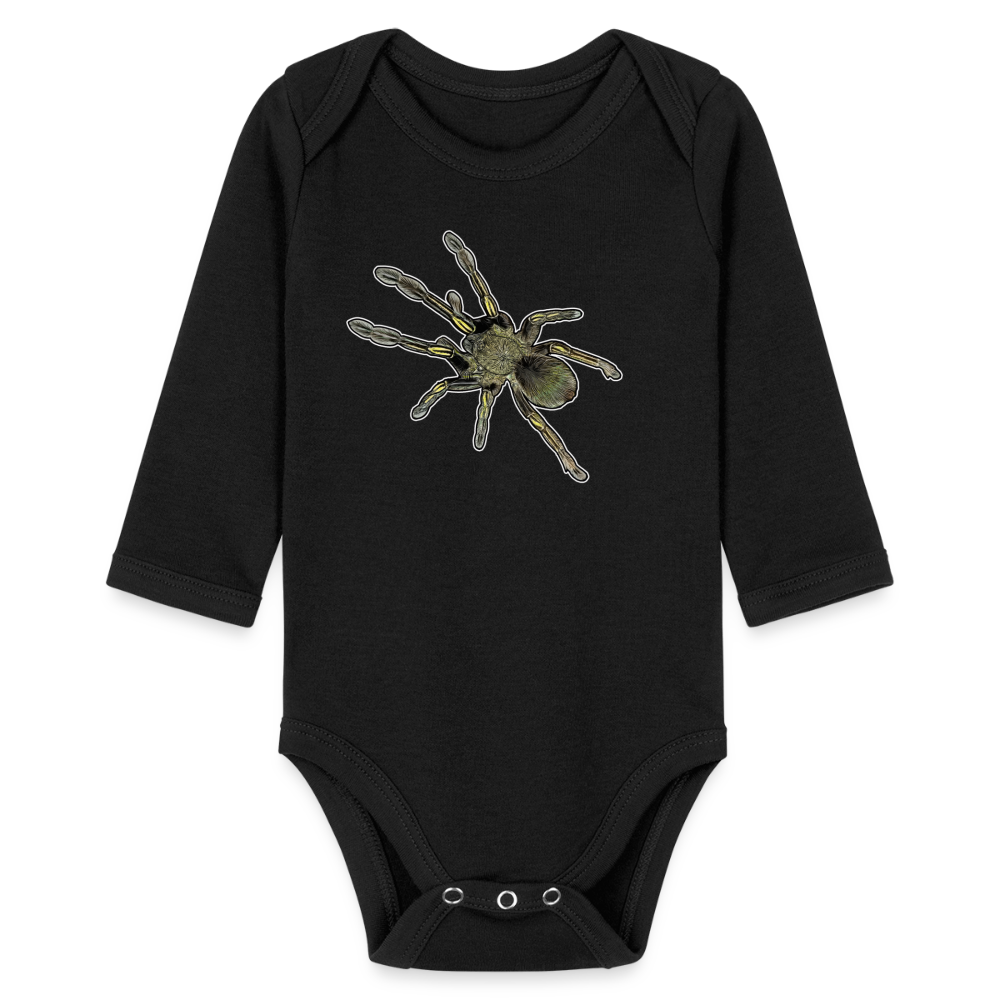 Baby Bio Body lang Ephebopus murinus - Schwarz