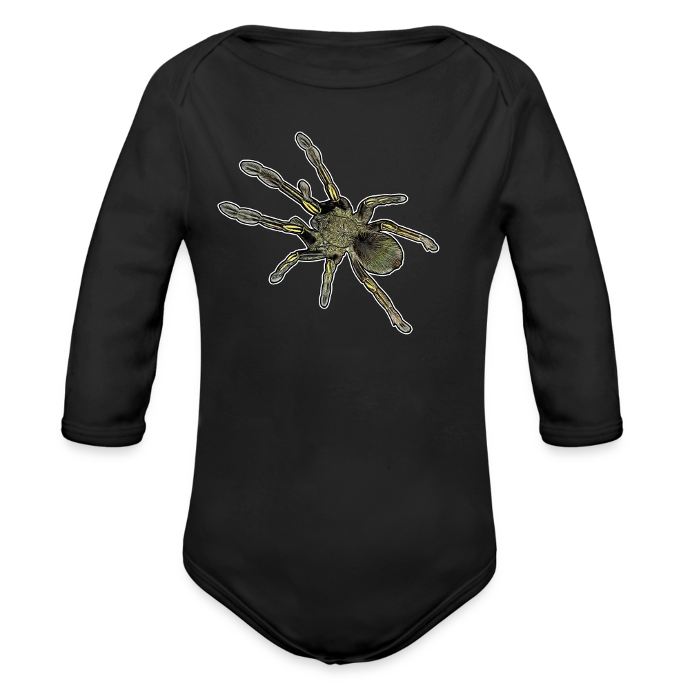 Baby Bio Body lang Ephebopus murinus - Schwarz