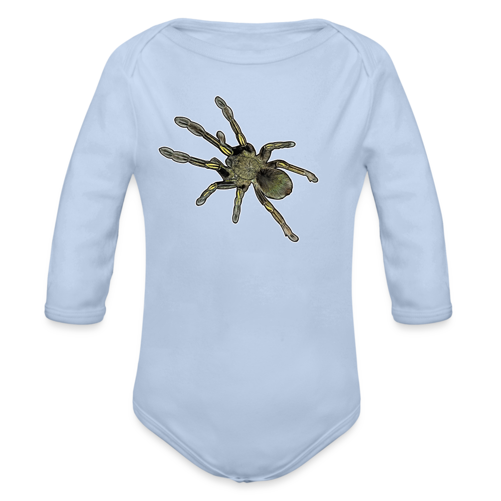 Baby Bio Body lang Ephebopus murinus - Sky