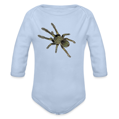 Baby Bio Body lang Ephebopus murinus - Sky