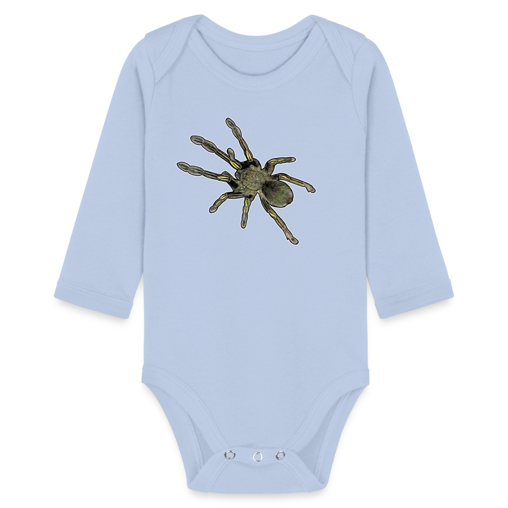 Baby Bio Body lang Ephebopus murinus - Sky