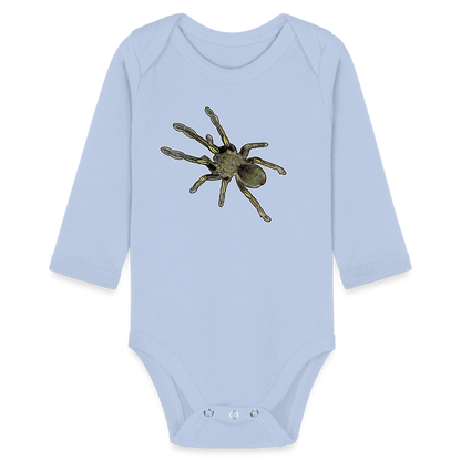 Baby Bio Body lang Ephebopus murinus - Sky