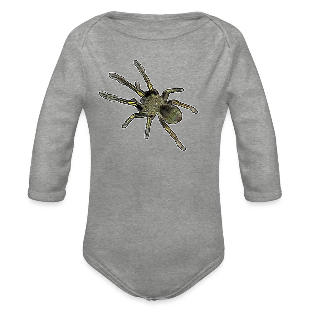 Baby Bio Body lang Ephebopus murinus - Grau meliert