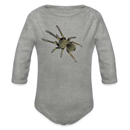 Baby Bio Body lang Ephebopus murinus - Grau meliert