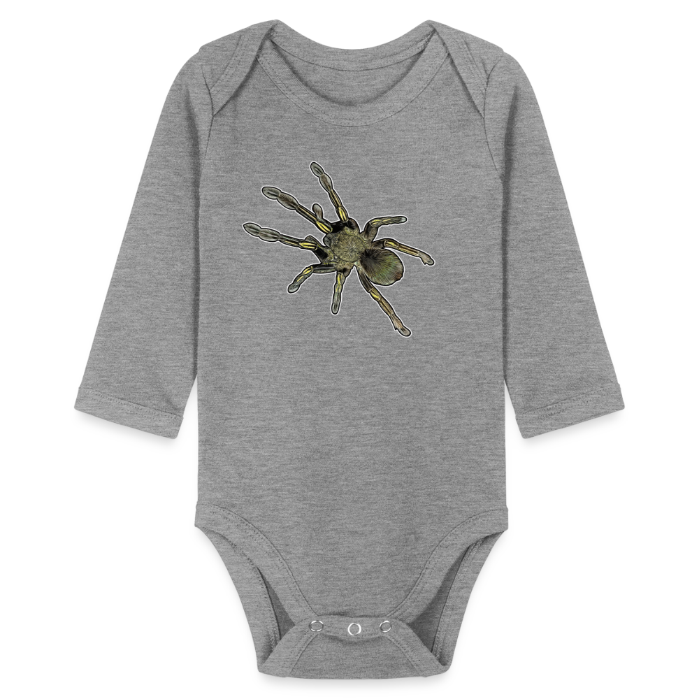 Baby Bio Body lang Ephebopus murinus - Grau meliert