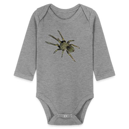 Baby Bio Body lang Ephebopus murinus - Grau meliert