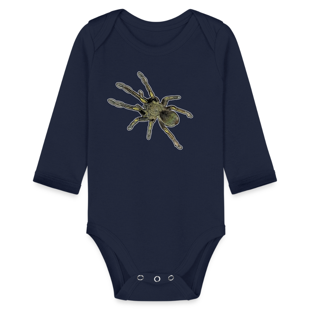 Baby Bio Body lang Ephebopus murinus - Dunkelnavy