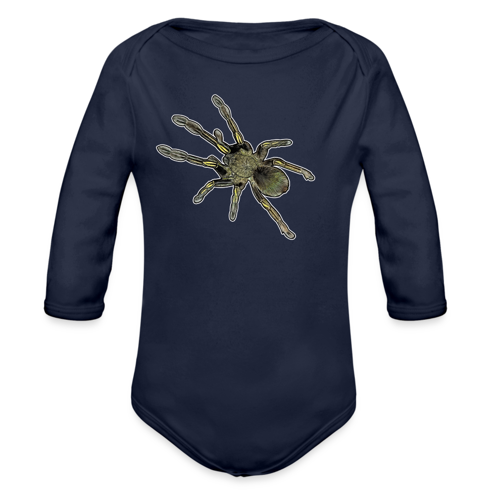 Baby Bio Body lang Ephebopus murinus - Dunkelnavy