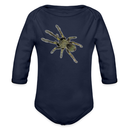 Baby Bio Body lang Ephebopus murinus - Dunkelnavy