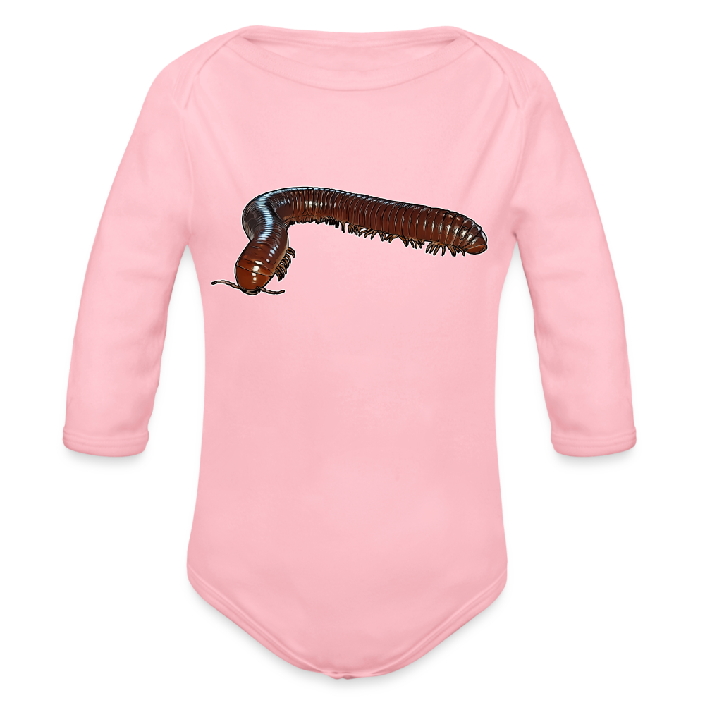 Baby Bio Body lang Ophistreptus guineensis - Hellrosa