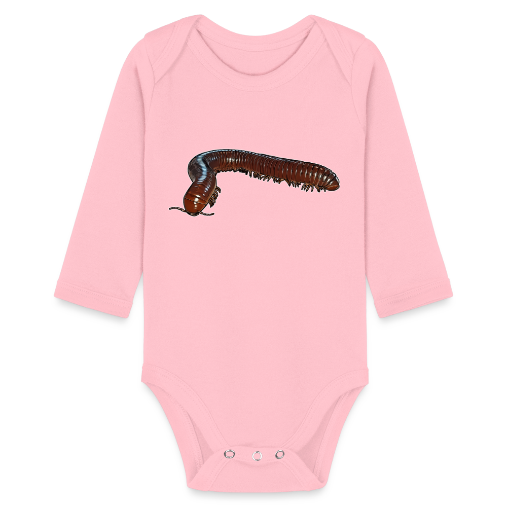 Baby Bio Body lang Ophistreptus guineensis - Hellrosa