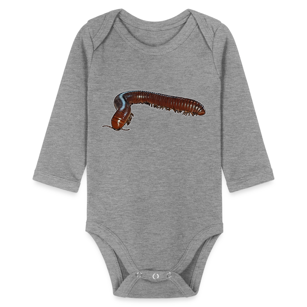 Baby Bio Body lang Ophistreptus guineensis - Grau meliert