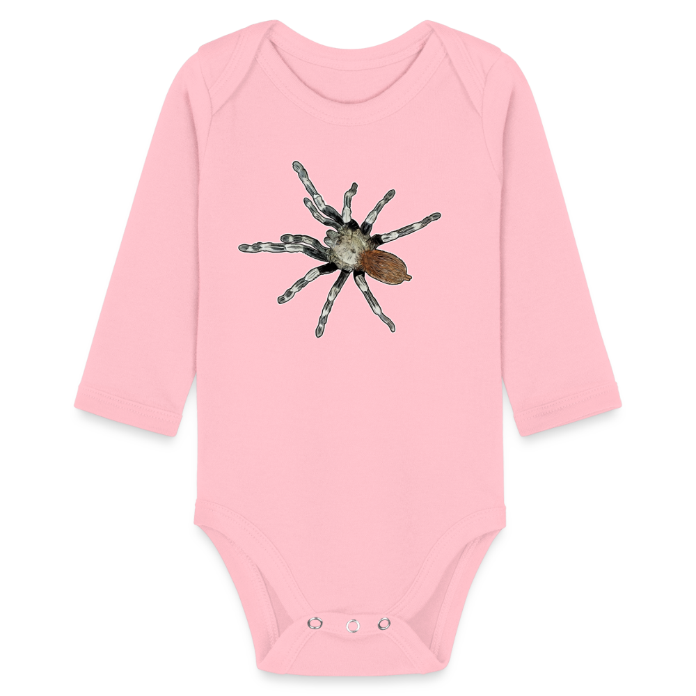 Baby Bio Body lang Nhandu chromatus - Hellrosa