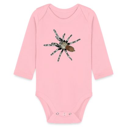 Baby Bio Body lang Nhandu chromatus - Hellrosa