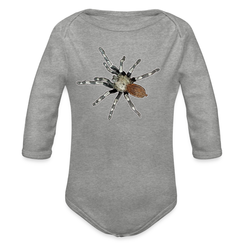 Baby Bio Body lang Nhandu chromatus - Grau meliert