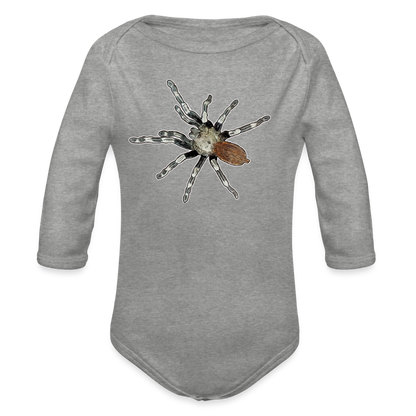 Baby Bio Body lang Nhandu chromatus - Grau meliert