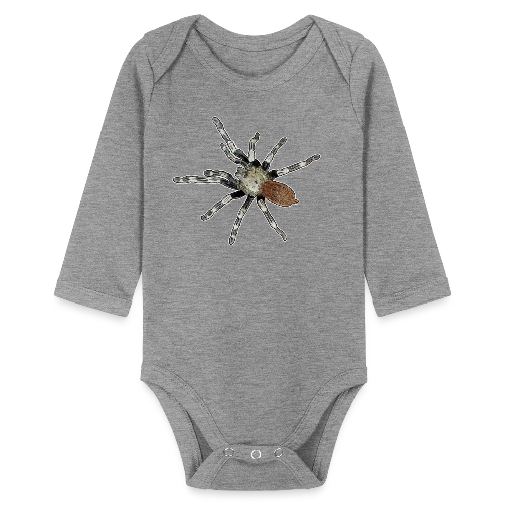 Baby Bio Body lang Nhandu chromatus - Grau meliert