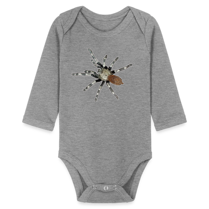 Baby Bio Body lang Nhandu chromatus - Grau meliert