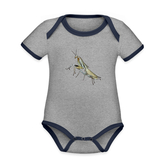 Baby Bio Kontrastbody kurz Deroplatys truncata female - Grau meliert/Navy