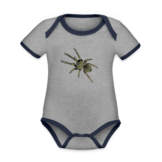 Baby Bio Kontrastbody kurz Ephebopus murinus - Grau meliert/Navy