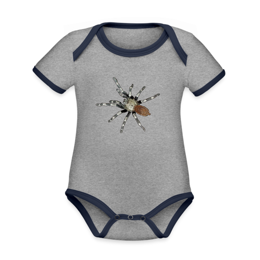 Baby Bio Kontrastbody kurz Nhandu chromatus - Grau meliert/Navy