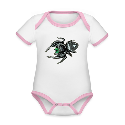 Baby Bio Kontrastbody kurz Phidippus regius White Bahamas male - Weiß/Rose