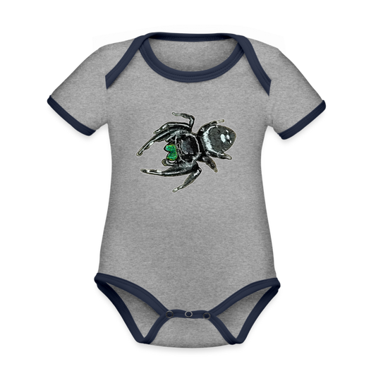 Baby Bio Kontrastbody kurz Phidippus regius White Bahamas male - Grau meliert/Navy