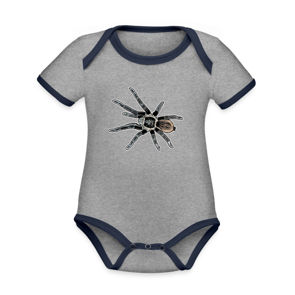 Baby Bio Kontrastbody Tliltocatl vagans - Grau meliert/Navy