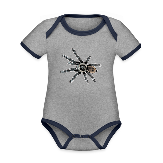 Baby Bio Kontrastbody Tliltocatl vagans - Grau meliert/Navy
