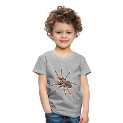 Kinder Basic T-Shirt Brachypelma emilia - Grau meliert