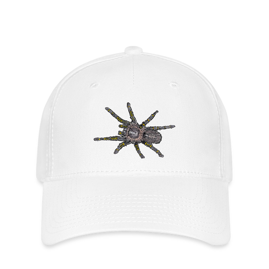 Flexfit Cap Grammostola pulchripes - weiß