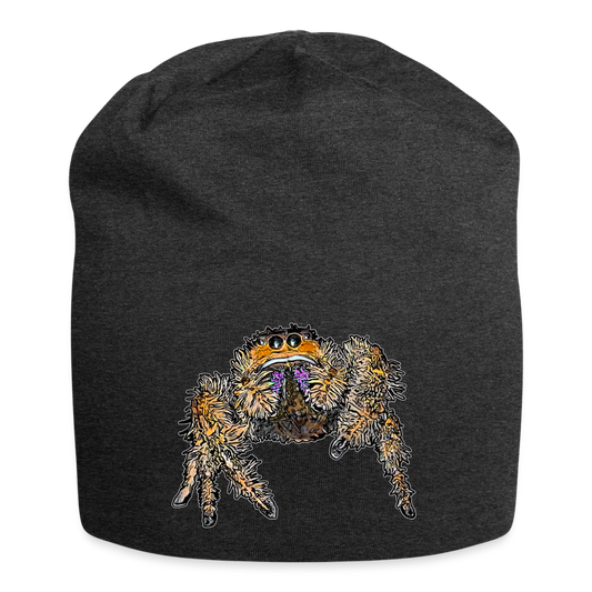 Jersey-Beanie Phidippus regius Everglades female - Anthrazit