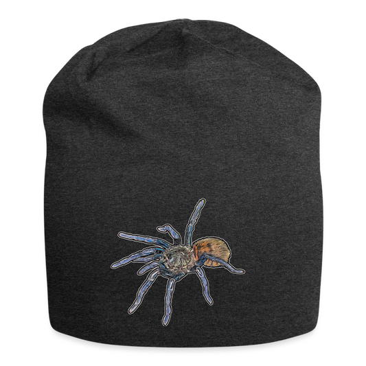 Jersey-Beanie Chromatopelma cyaneopubescens - Anthrazit