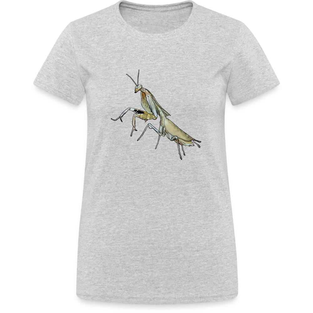 Frauen Gildan Heavy T-Shirt Deroplatys truncata female - Grau meliert