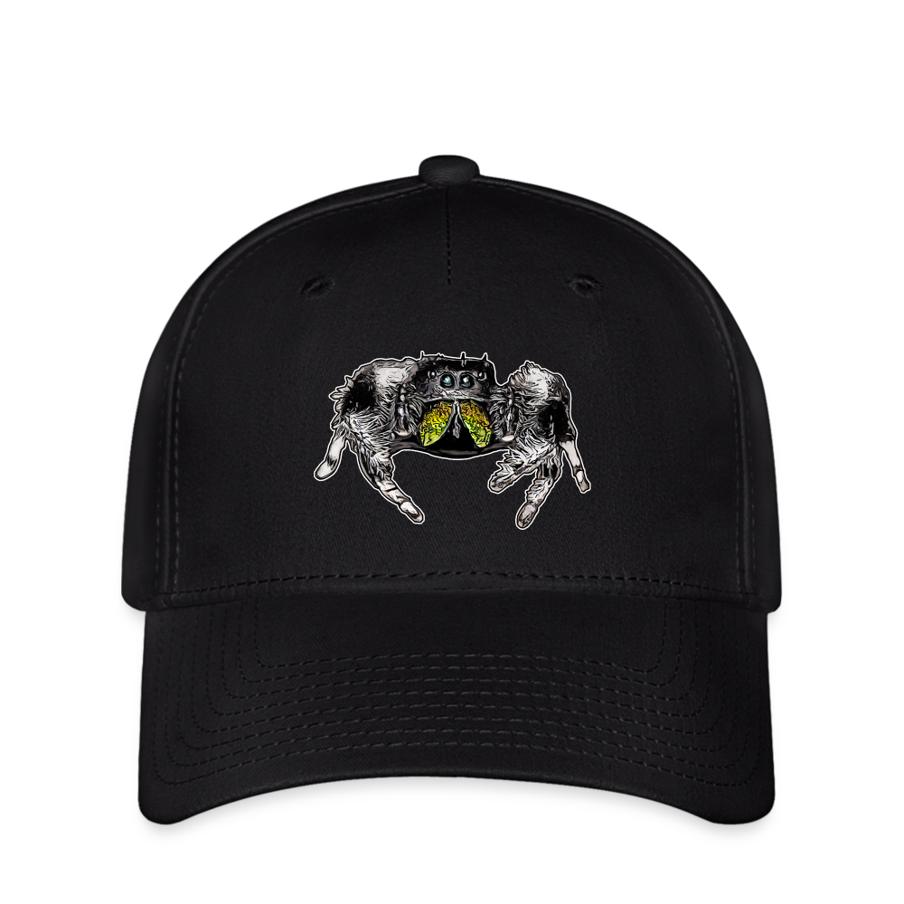 Flexfit Cap Phidippus regius Rastafari male - Schwarz