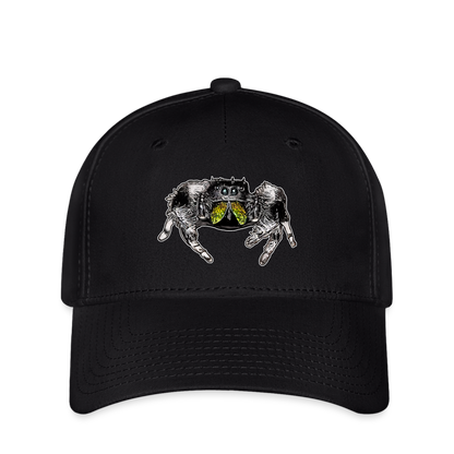 Flexfit Cap Phidippus regius Rastafari male - Schwarz