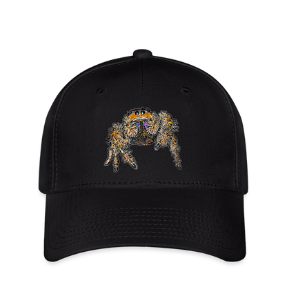Flexfit Cap Phidippus regius Everglades female - Schwarz