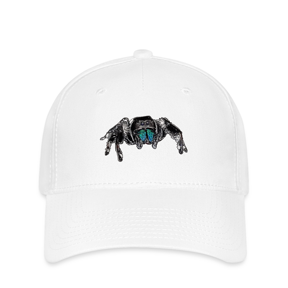 Flexfit Cap Phidippus regius Everglades male - weiß