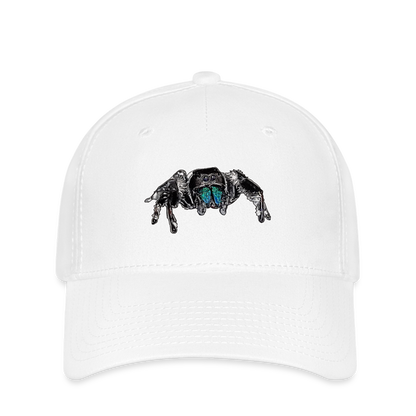 Flexfit Cap Phidippus regius Everglades male - weiß