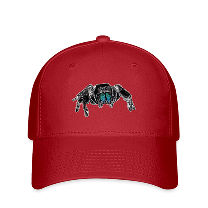 Flexfit Cap Phidippus regius Everglades male - Rot