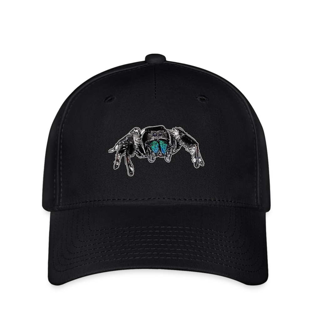 Flexfit Cap Phidippus regius Everglades male - Schwarz