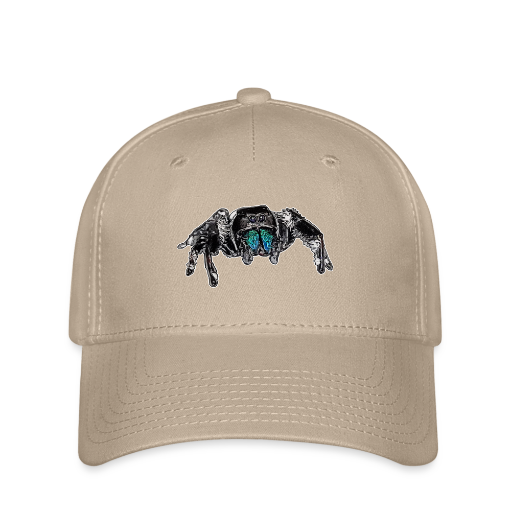 Flexfit Cap Phidippus regius Everglades male - Khaki
