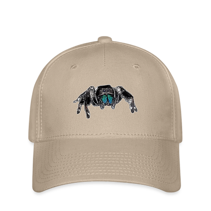 Flexfit Cap Phidippus regius Everglades male - Khaki