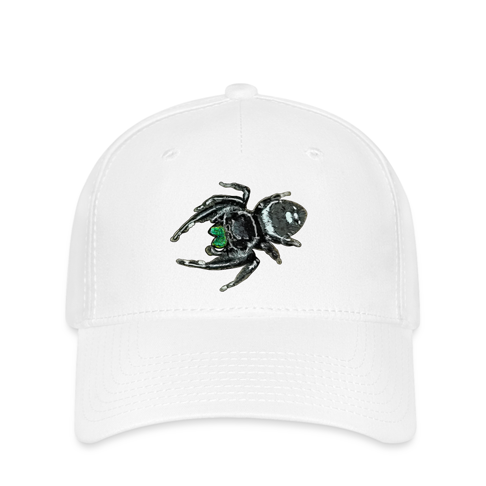 Flexfit Cap Phidippus regius White Bahamas male - weiß