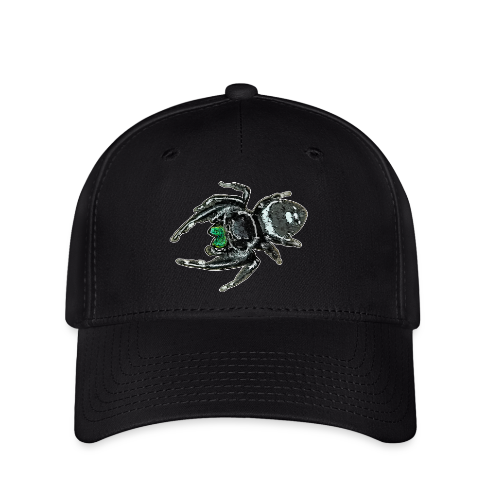 Flexfit Cap Phidippus regius White Bahamas male - Schwarz