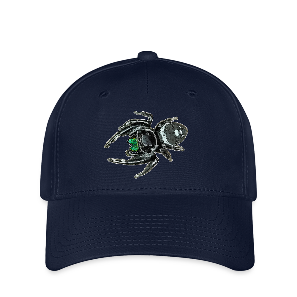 Flexfit Cap Phidippus regius White Bahamas male - Navy