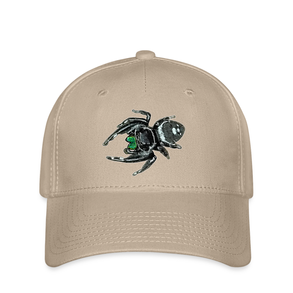 Flexfit Cap Phidippus regius White Bahamas male - Khaki