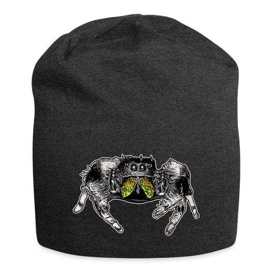 Jersey-Beanie Phidippus regius Rastafari male - Anthrazit