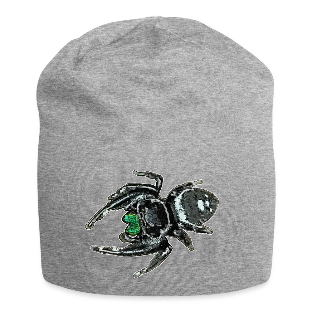 Jersey-Beanie Phidippus regius White Bahamas male - Grau meliert